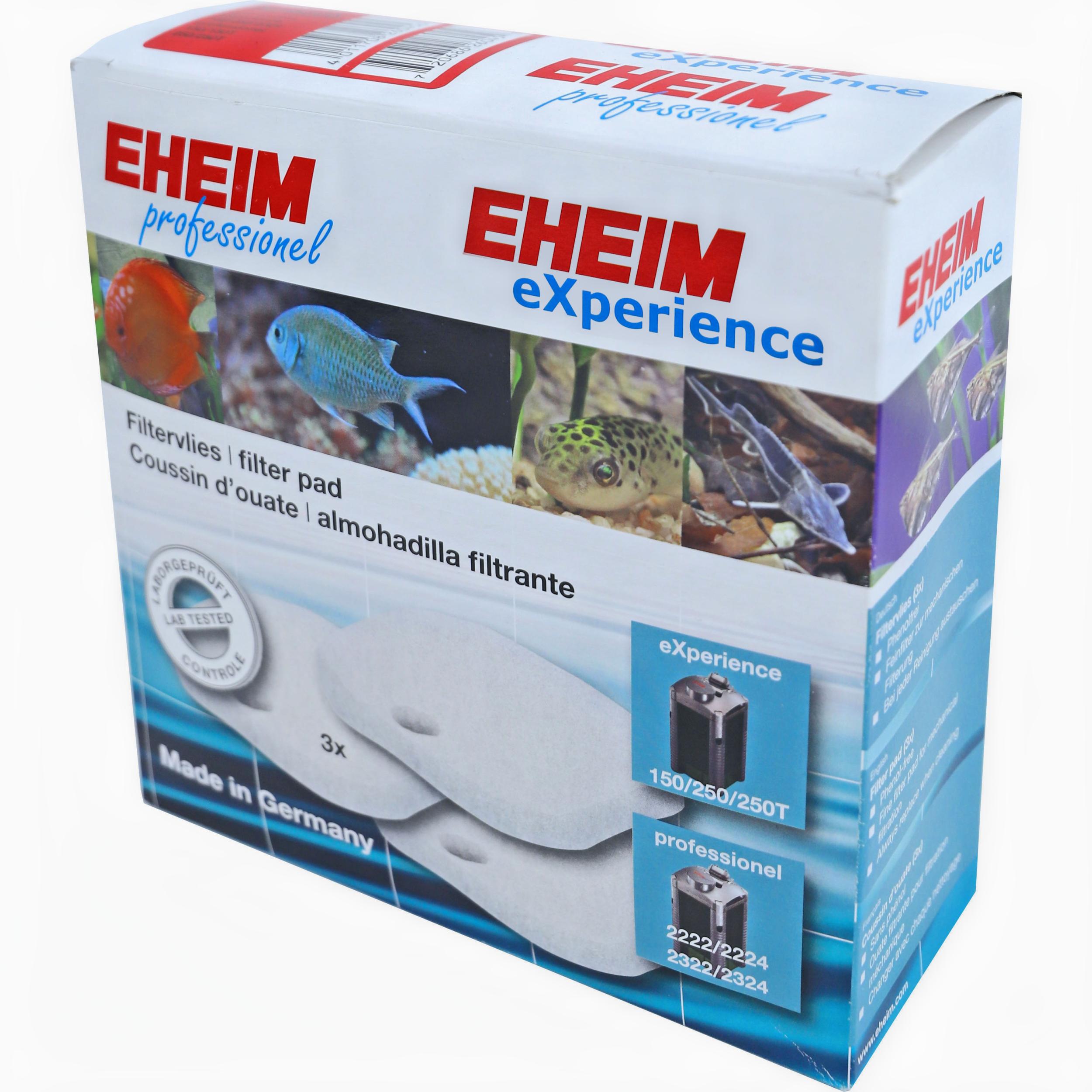 Animal, Fish, Sea Life