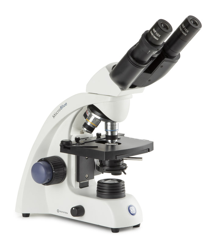 Microscope binoculaire microblue