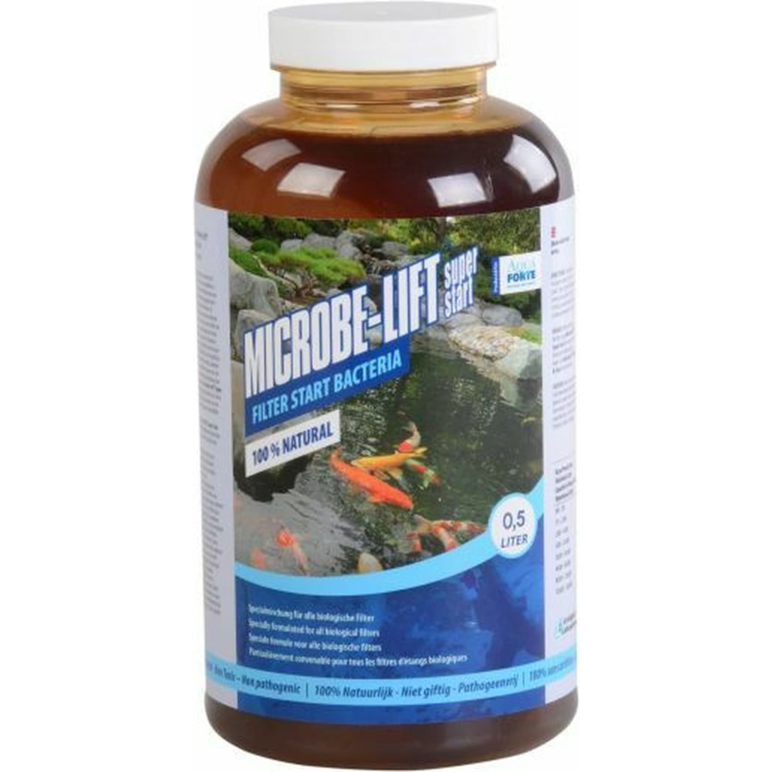 Herbal, Herbs, Plant