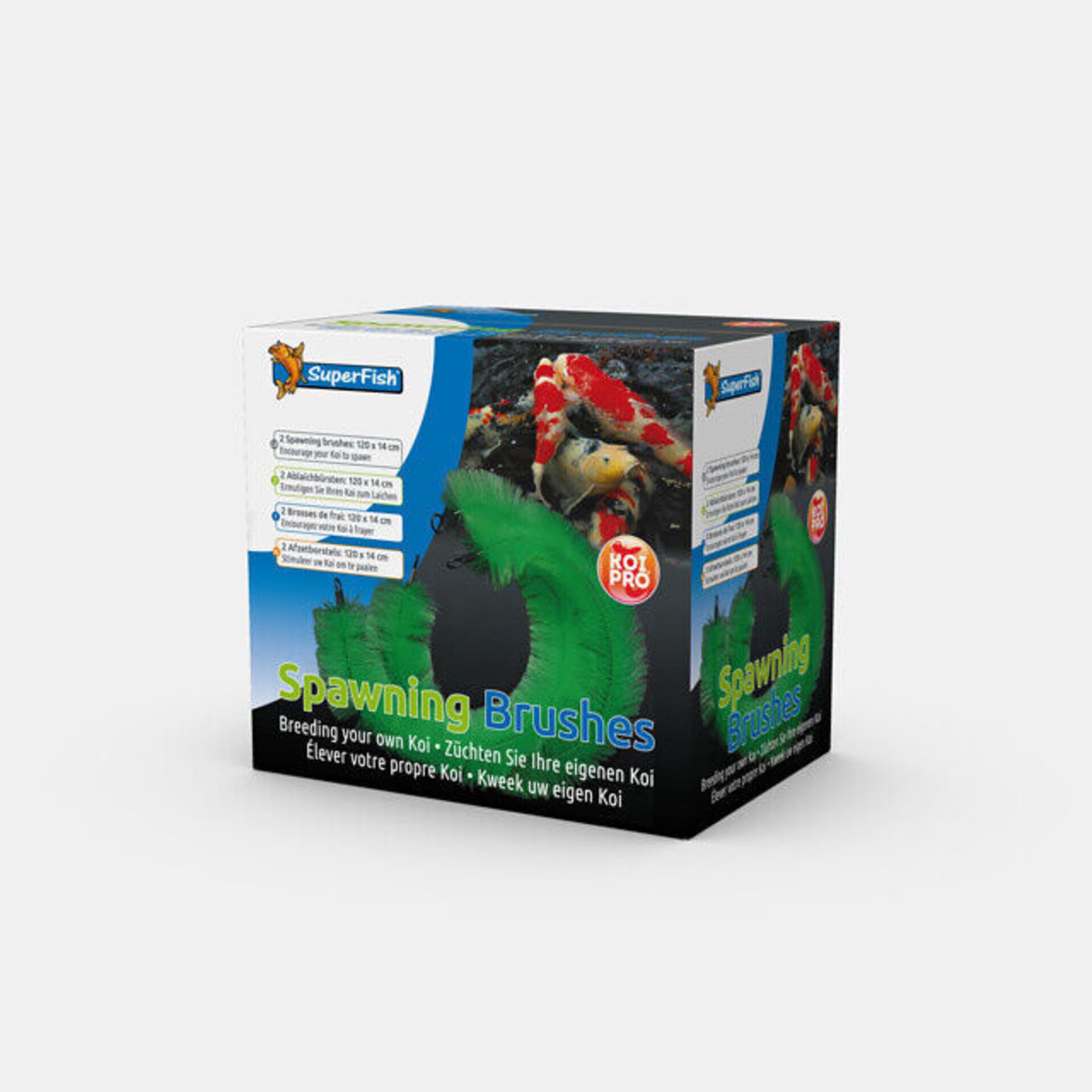 KP Set Brush dans la boîte 2 pièces