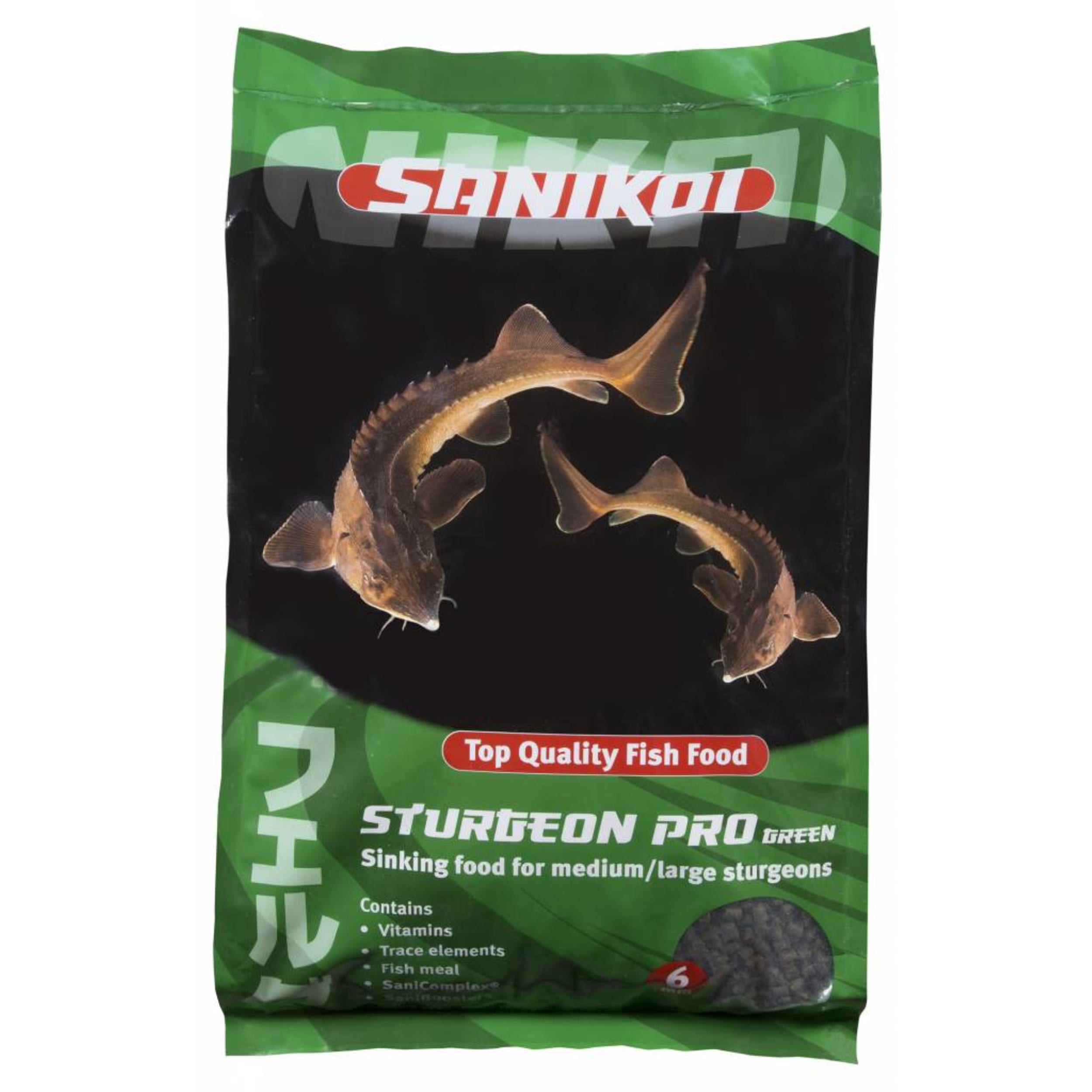 Animal, Fish, Sea Life, Lizard, Reptile