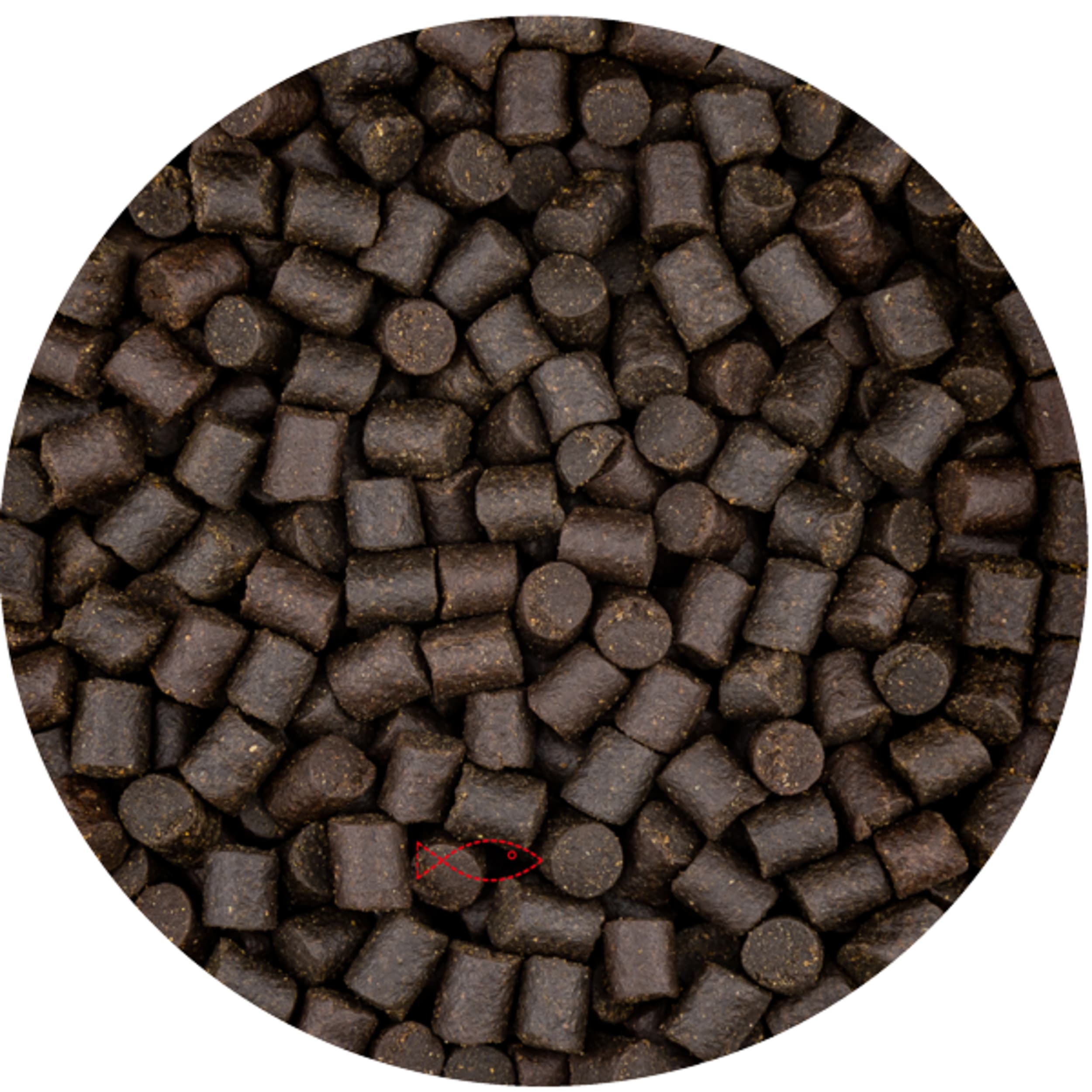 Path, Road, Cobblestone