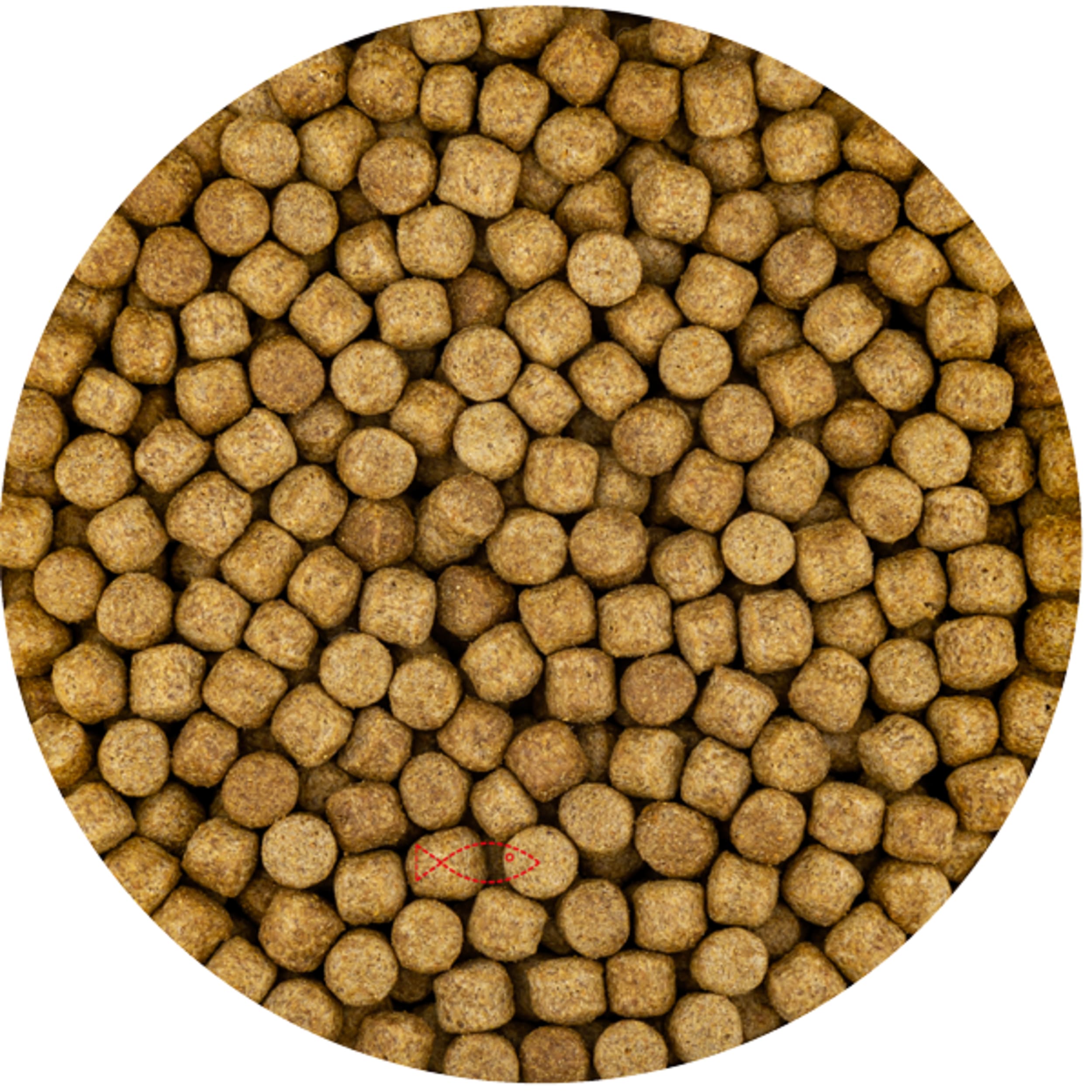 Germe de blé 6 mm (15 kilos de sac)