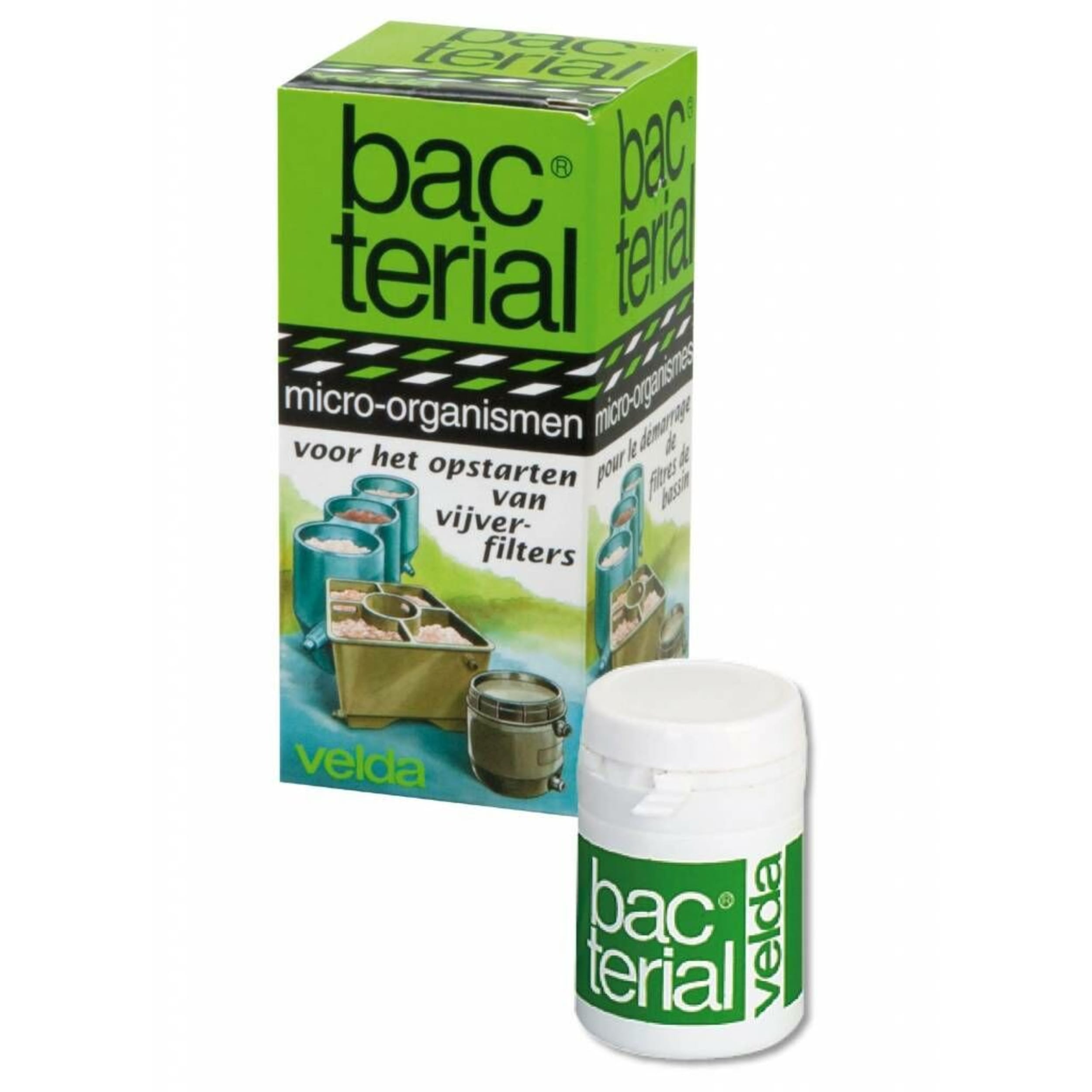 Herbal, Herbs, Plant